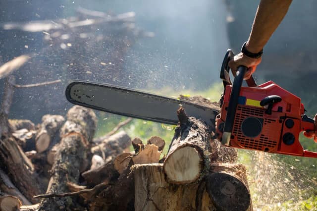 Najlepsze piły spalinowe do 500 zł - wybierz idealną dla siebie
